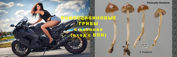ешки Михайловка