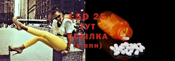 PSILOCYBIN Михайлов