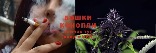 спиды Мегион