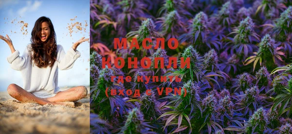 дживик Няндома