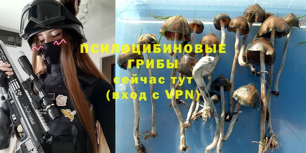 PSILOCYBIN Михайлов