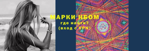 PSILOCYBIN Михайлов