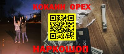 крисы Аргун