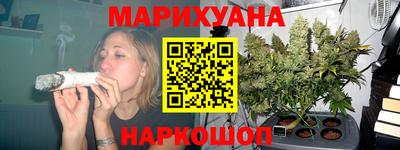 крисы Аргун