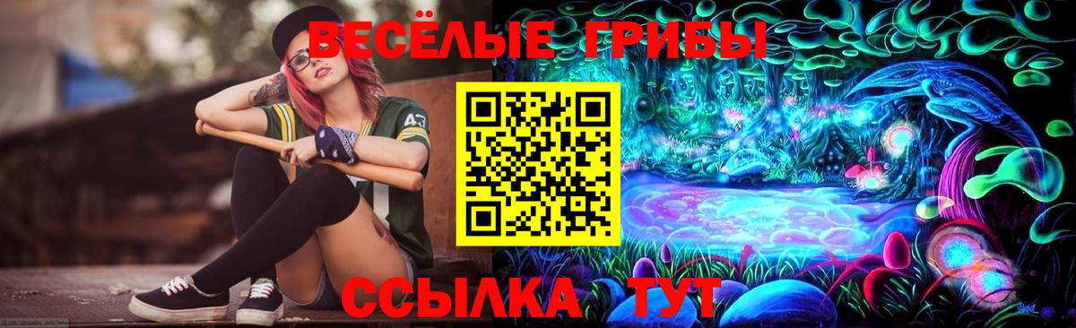 Псилоцибиновые грибы мицелий  Вход с VPN  Минусинск 
