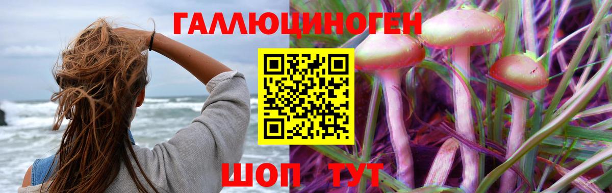 Псилоцибиновые грибы мухоморы Минусинск