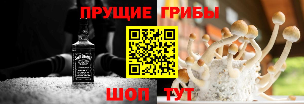 Псилоцибиновые грибы мицелий  Псилоцибиновые грибы прущие грибы  Минусинск 